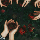 starbucksinayrani avatar