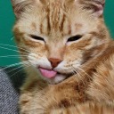 starbuckwinchester avatar