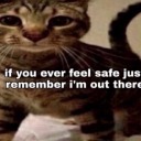 starconstruction avatar