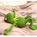 starcrossedhatred avatar