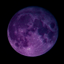 stardust-dreamer07 avatar