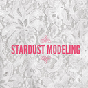 stardust-modeling-blog avatar