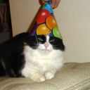 stardust-n0va avatar