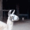 stardust2dust2dust avatar