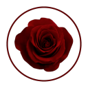 stardustshuji avatar