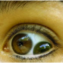 starehard-blog avatar