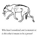 starfallsfearcalls avatar