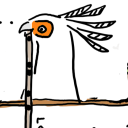 starfire-feathers avatar