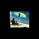 starfish-collector avatar