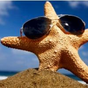 starfishpaws avatar