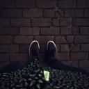 starflyingduck avatar