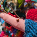 stargazer---lily avatar