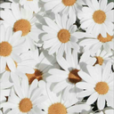 stargazer--daydreamer avatar