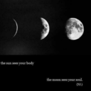 stargazer2019-blog avatar