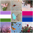 stargazervalley avatar