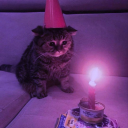 stargazing000 avatar