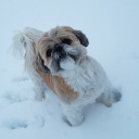 stargazingwithfireflies avatar