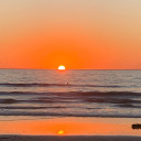 stargirl-wanderlust avatar