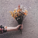 starinatthecellin avatar