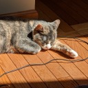 staring-into-a-bowl-of-soup avatar