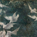 staringatmyceilingfan avatar