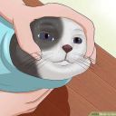 starkdistress avatar