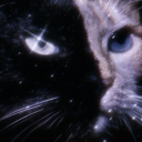 starkissedearth avatar