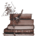 starkissedscars avatar