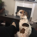 starklyrogers avatar