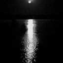 starknightstark avatar