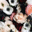 starkvivacity avatar