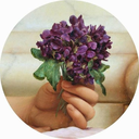 starlessmemes avatar