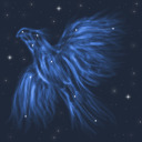 starlight-aviary avatar