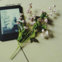 starlight-books avatar