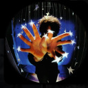 starlight-dazed avatar