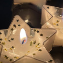 starlight-devotee avatar