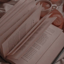 starlight-dreamer-world avatar