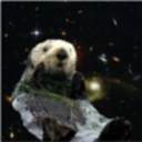 starlight-otter avatar