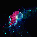 starlight-paradise avatar