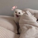 starlight-persephone avatar