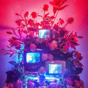 starlight12341234 avatar