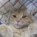 starlight2travel avatar