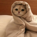 starlightandmagic avatar