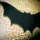 starlightcandy avatar