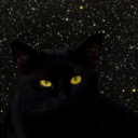 starlightcat avatar