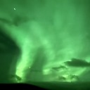 starlightcats avatar