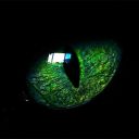 starlightlovesspace avatar