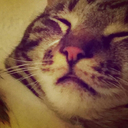 starlightneroli avatar