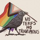 starlightnightworld avatar