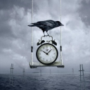 starlightreindeer avatar